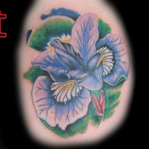 Iris tattoo by Dr.Ink Atkatattoo