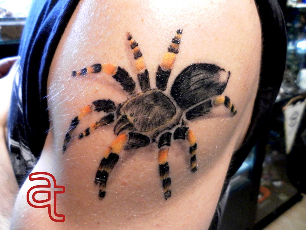 Spider tattoo by Dr.Ink Atkatattoo